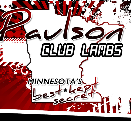 Paulson Club Lambs